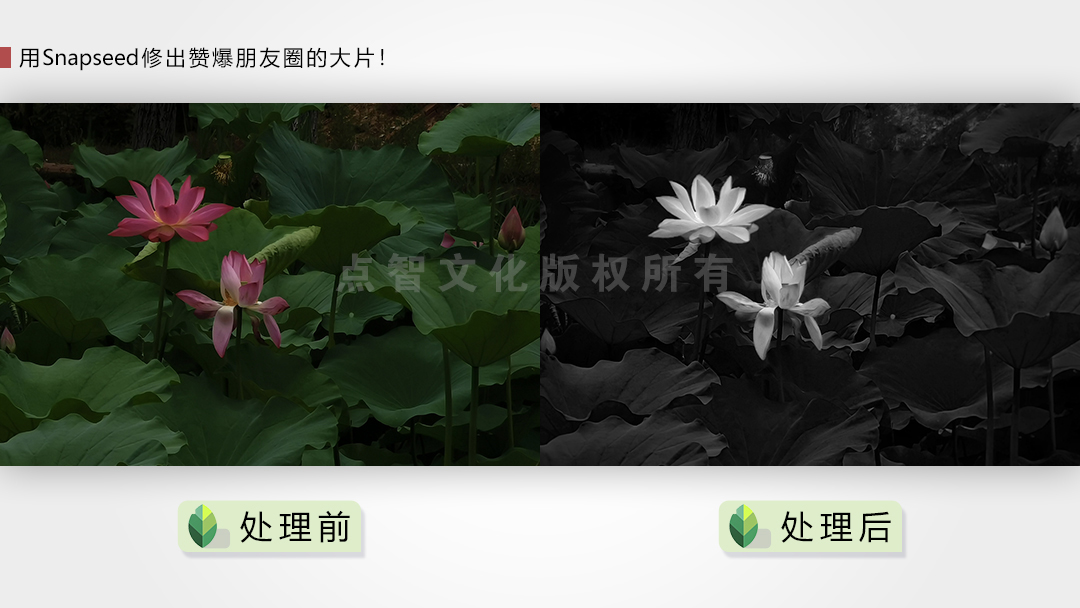 用Snapseed修出赞爆朋友圈的手机摄影大片