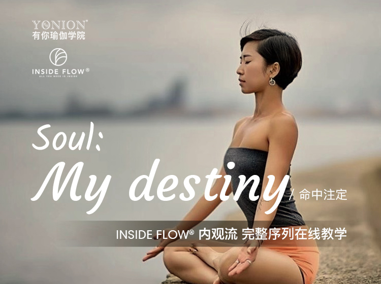 有课：InsideFlow内观流 Soul力量三部曲