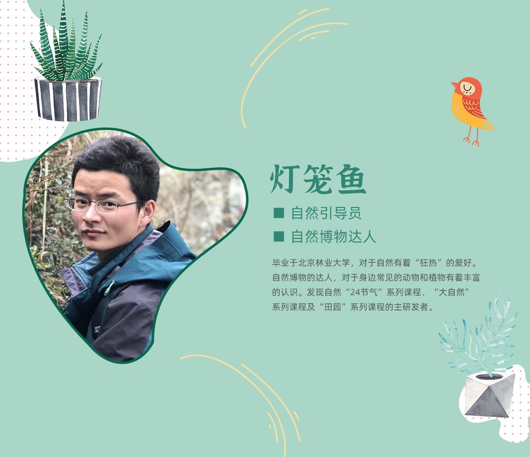 自然区角创设系列课程——初阶课程