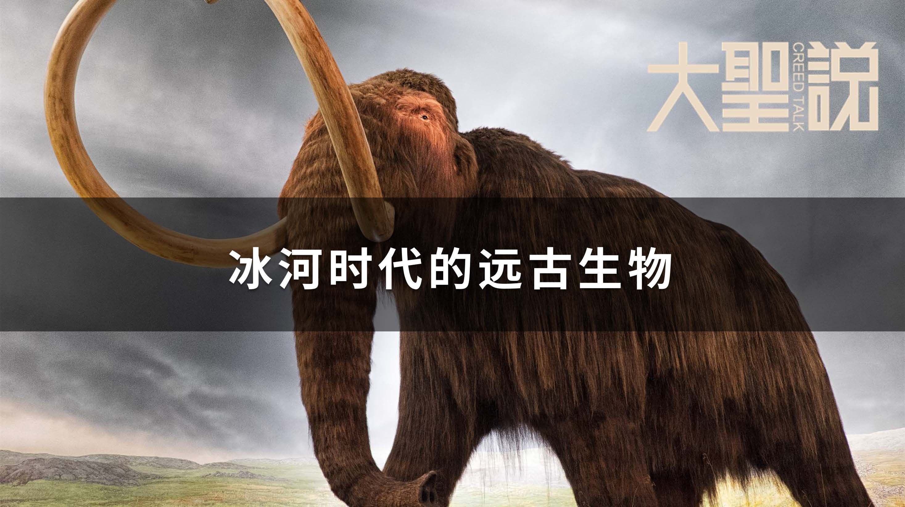 大圣说-来自加州的Online海外课堂第二季