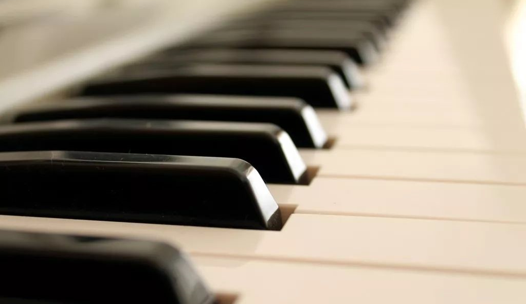【西方古典音乐鉴赏课】哈林、小S、贾静雯家孩子音乐老师亲授，提升孩子气质内涵