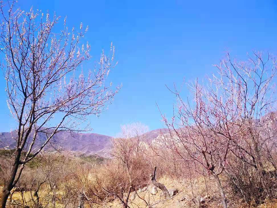 终极觉悟