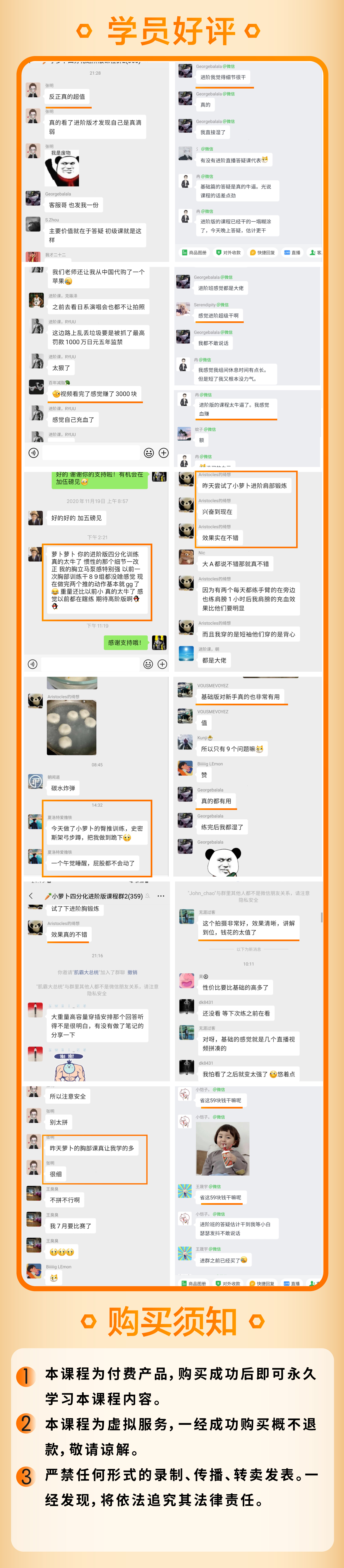 小萝卜四分化训练（进阶版）