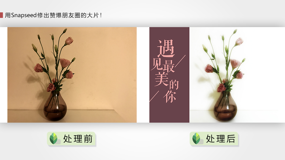 用Snapseed修出赞爆朋友圈的手机摄影大片