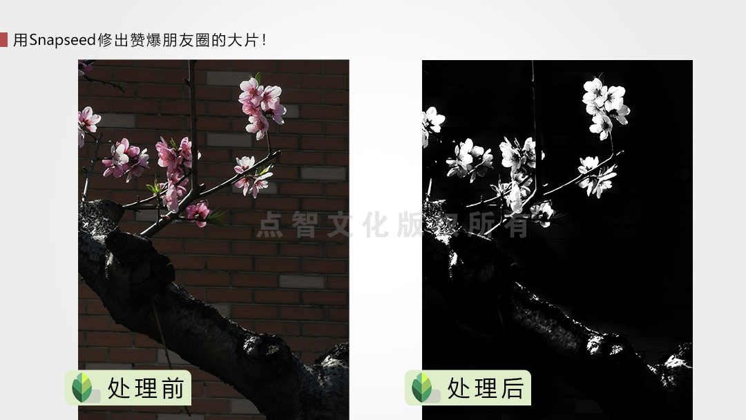 用Snapseed修出赞爆朋友圈的手机摄影大片