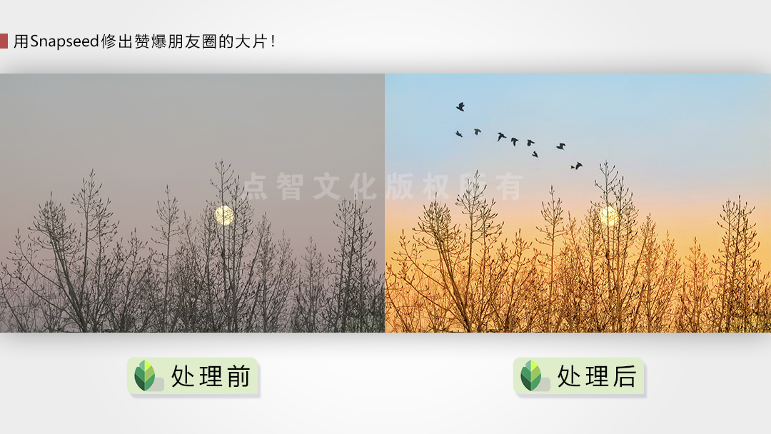 用Snapseed修出赞爆朋友圈的手机摄影大片
