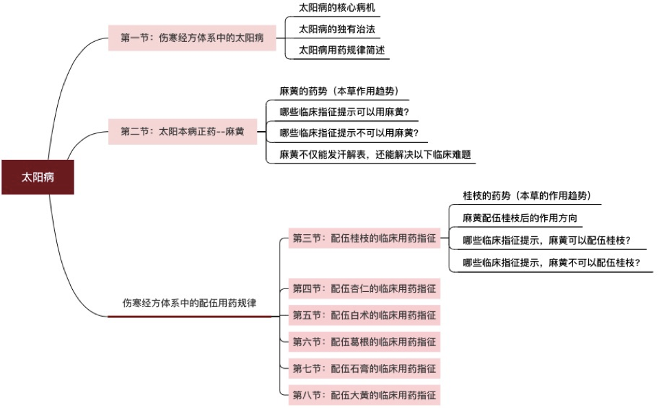 许家栋-经方本草临床案解