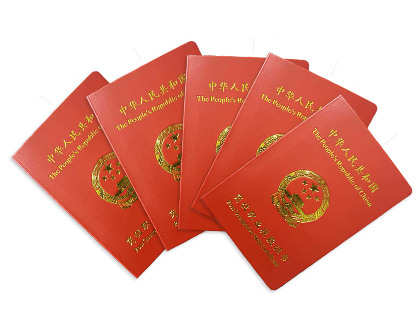 康复理疗师取证