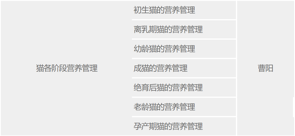 猫各阶段营养管理