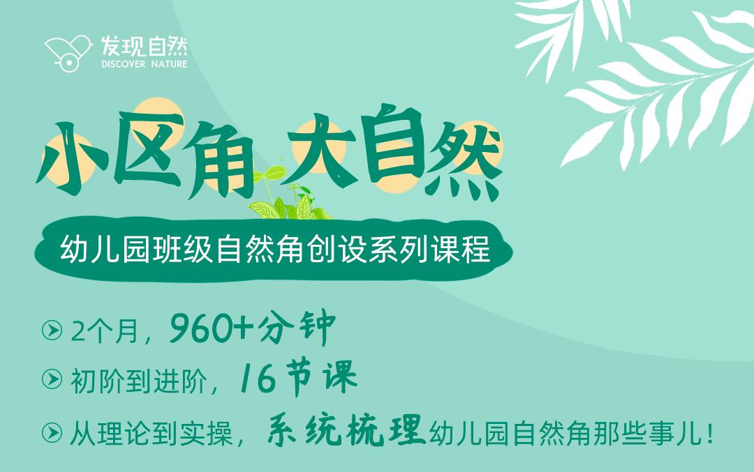 自然区角创设系列课程——初阶课程