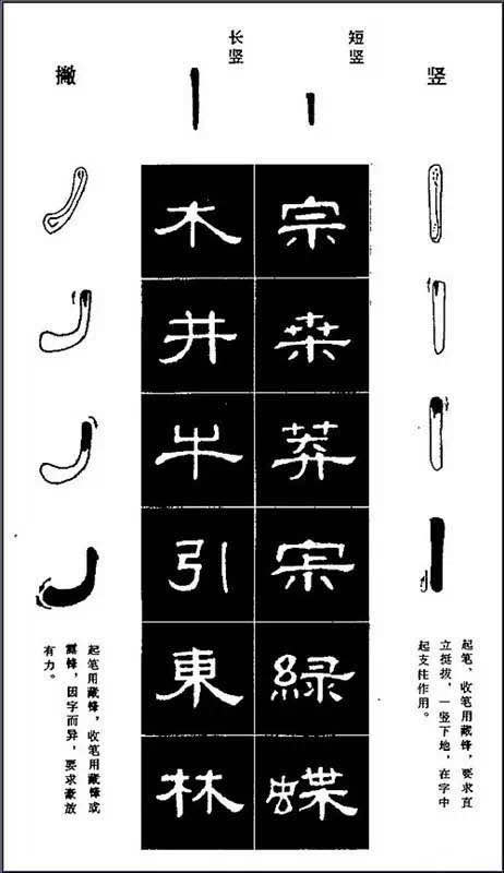 书法——隶书基础（8次课）