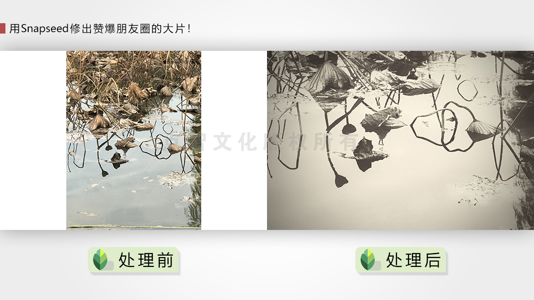 用Snapseed修出赞爆朋友圈的手机摄影大片