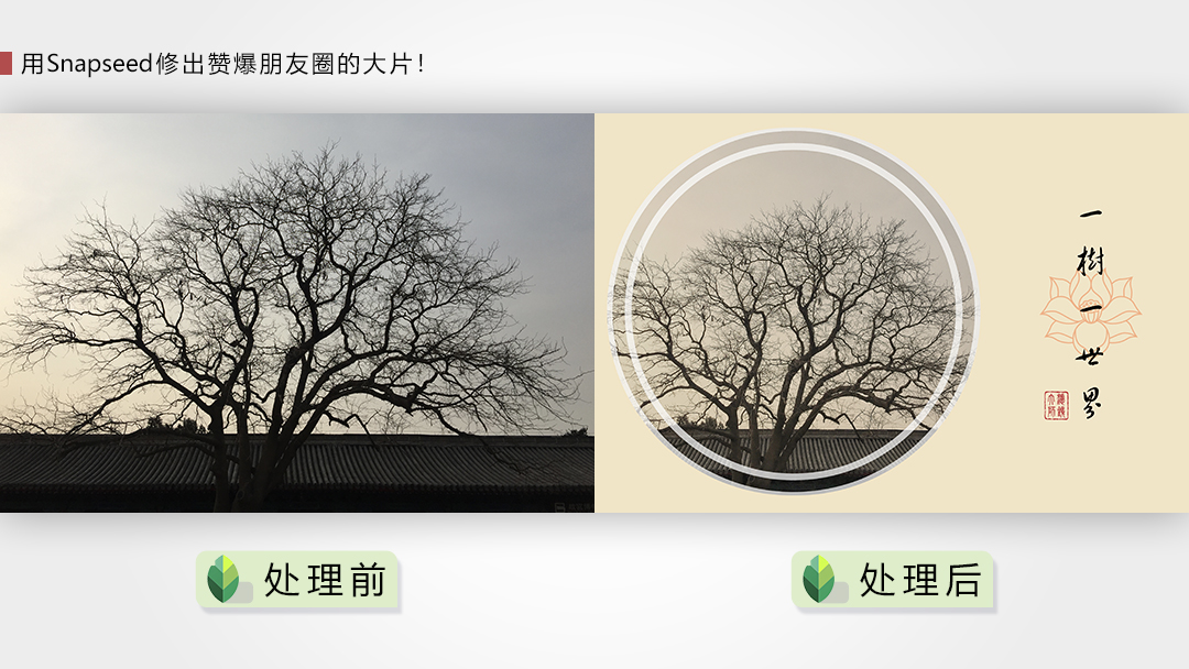 用Snapseed修出赞爆朋友圈的手机摄影大片