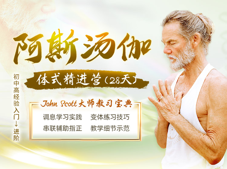 JohnScott 28天阿汤体式精进营（入门→进阶）