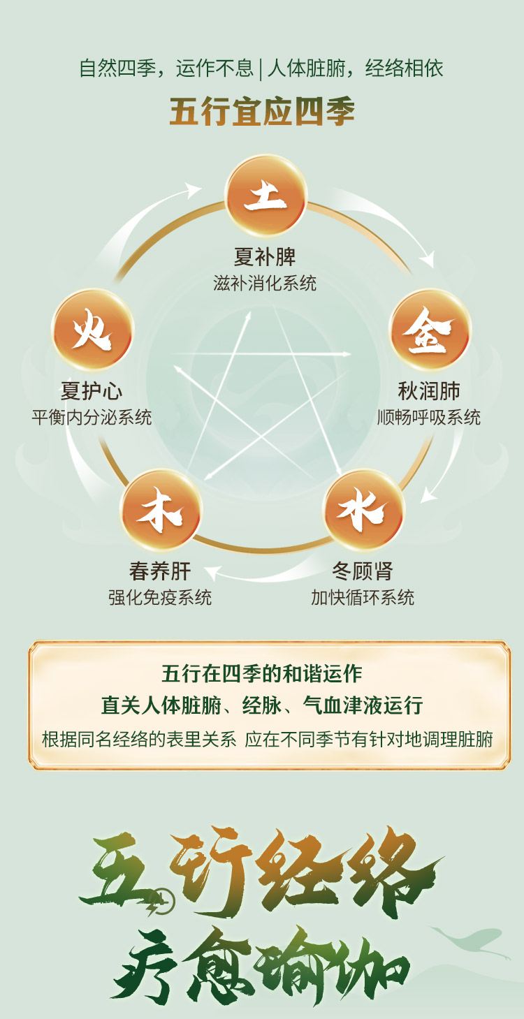 『五行经络疗愈瑜伽』7套排课模版，深入讲练12条经络瑜伽+五行中医+内观疗愈