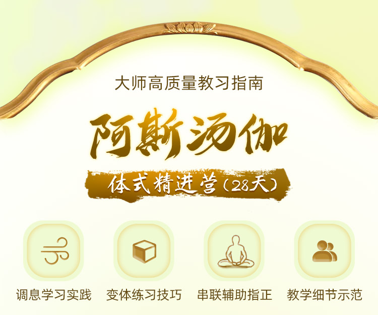 JohnScott 28天阿汤体式精进营（入门→进阶）