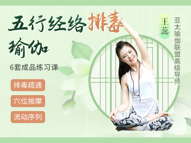 五行12经络排毒瑜伽>6大主题体式/序列精讲带练