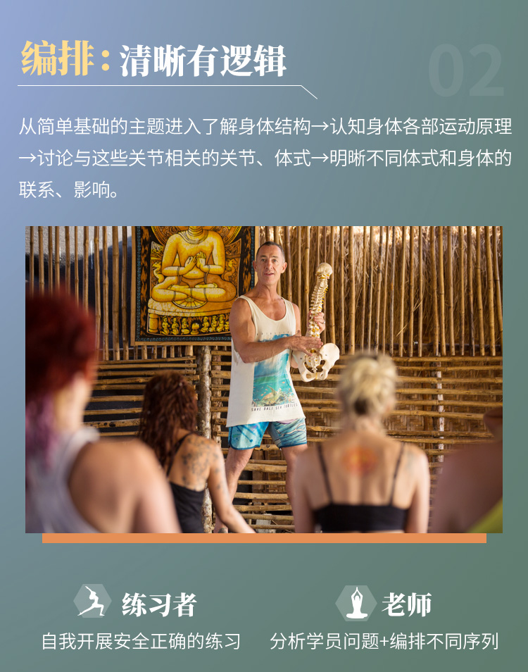 大师精讲丨瑜伽人必修【瑜伽解剖学全攻略】从0掌握原理方法，指数级提升技能