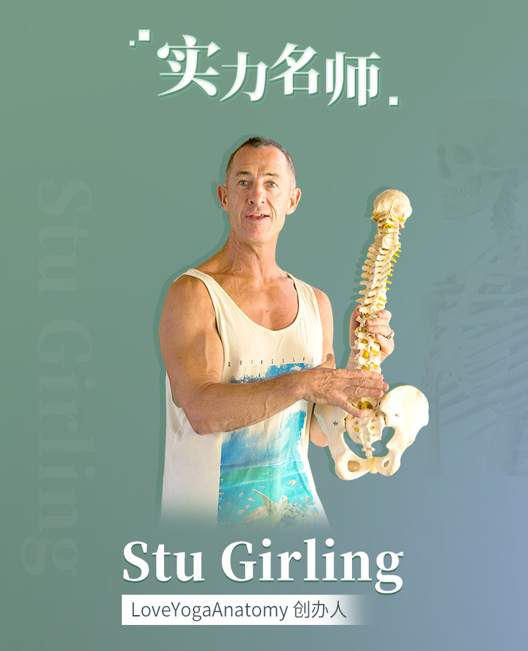 大师精讲丨瑜伽人必修【瑜伽解剖学全攻略】从0掌握原理方法，指数级提升技能