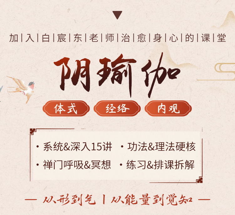 15节阴瑜伽系统成品课：体式丨经络丨内观，理论拆解+精准带练
