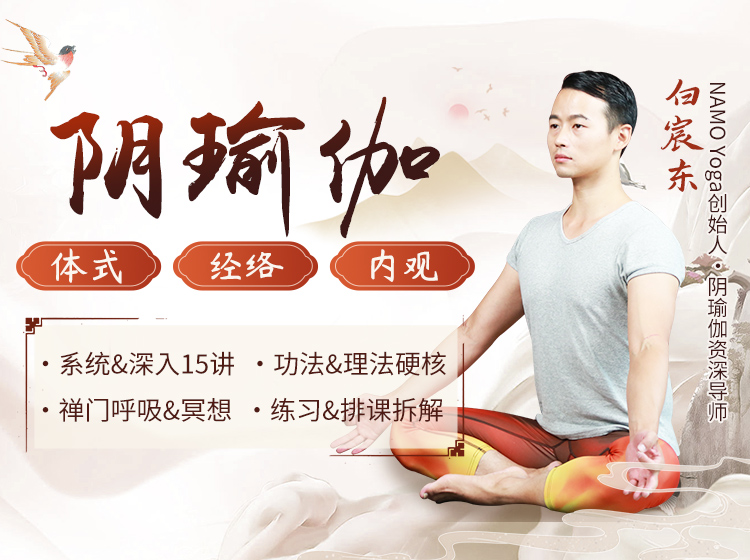 15节阴瑜伽系统成品课：体式丨经络丨内观，理论拆解+精准带练