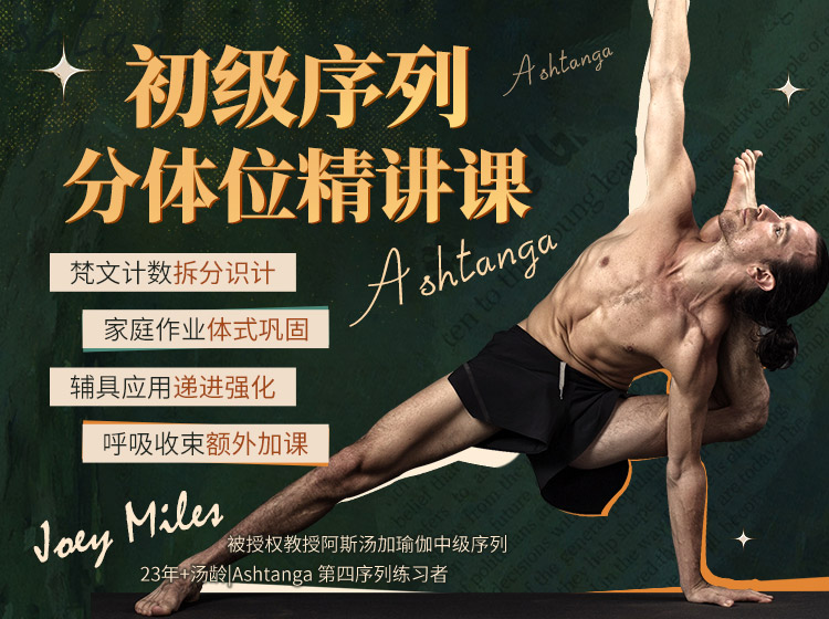 Joey Miles阿斯汤加瑜伽初级序列分体位精讲系列课>名师23年教习精编