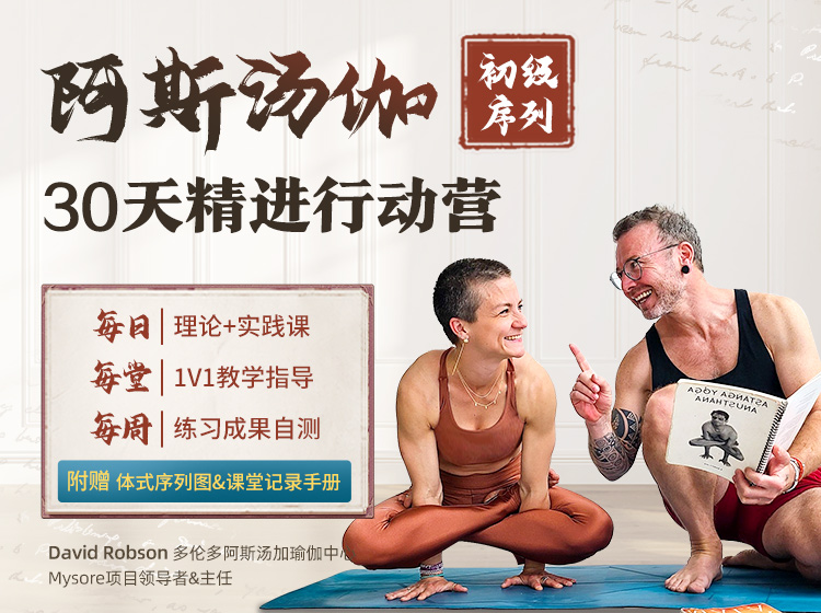 阿汤大咖David Robson30天初级序列精进行动营> 国内首套首发