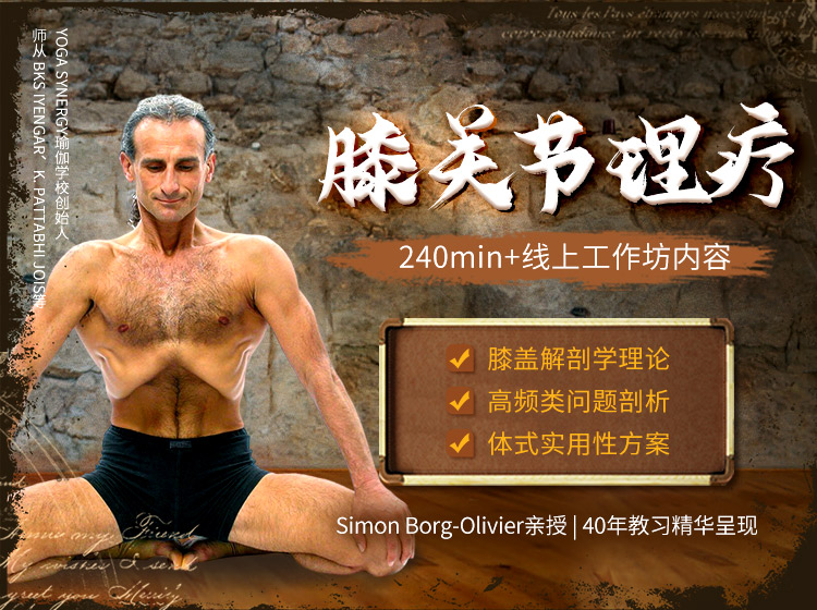 膝关节理疗线上工作坊精讲课< 国际大师Simon Borg-Olivier