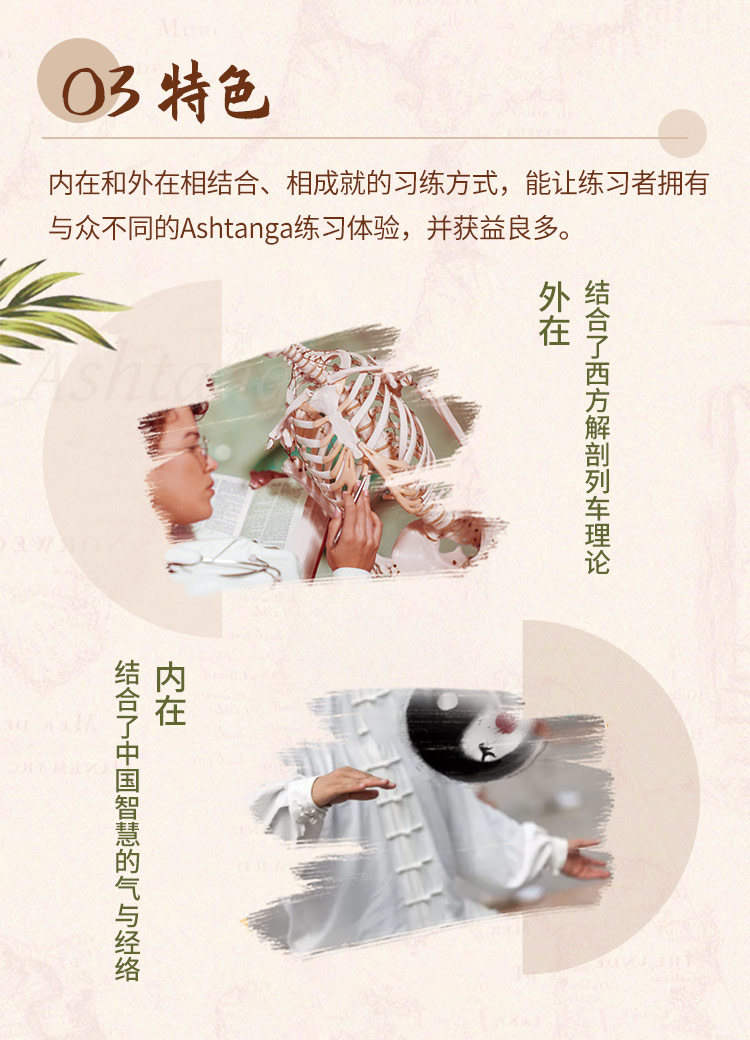 【瑜伽人手必备！】Mark Darby阿斯汤伽一级序列 | 70节体式精讲+一序列完整串联指导