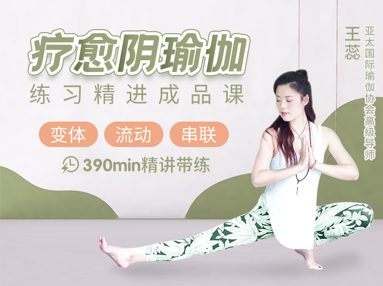 阴瑜伽进阶 | 阴性疗愈修复<变体·流动·串联>  390min6套成品小班课