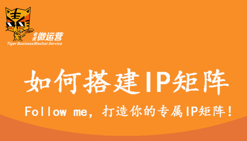 如何搭建IP矩阵