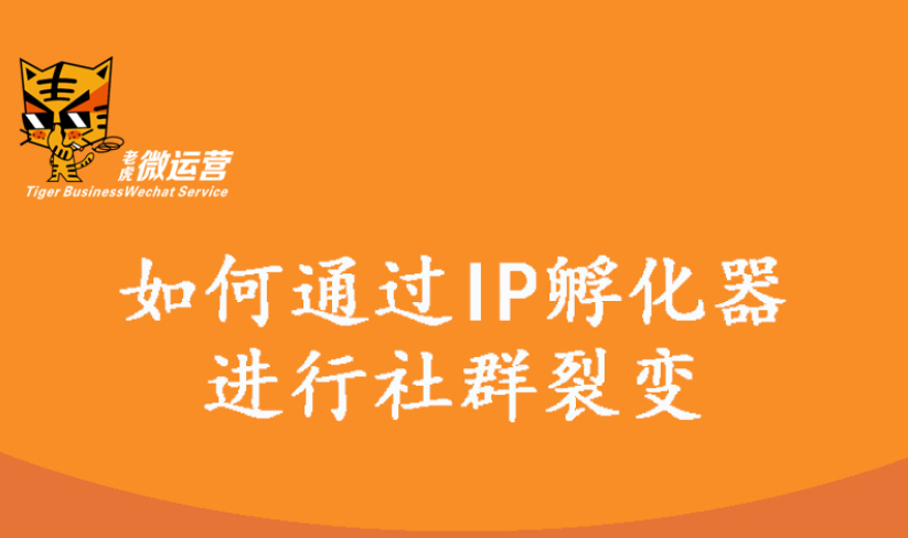 如何通过IP孵化器进行社群裂变