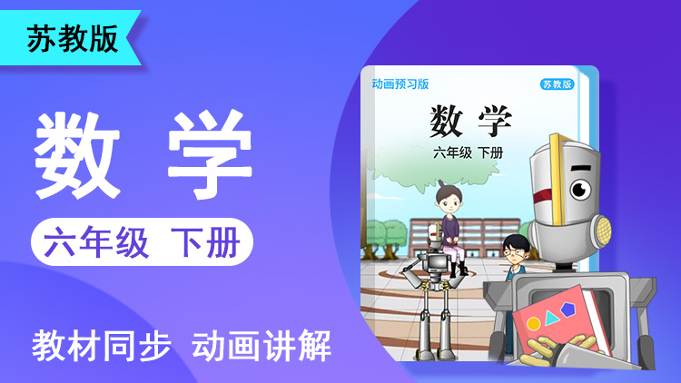 大智数学 · 6 年级 下册（苏教版）
