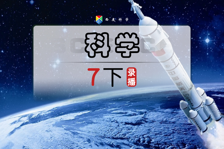 【送走进重高】【七下预习+拓展】西度罗老师教你学科学