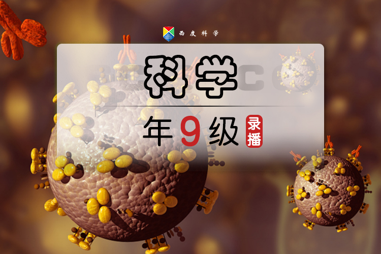 【送走进重高】【九年级预习+拓展】西度罗老师教你学科学