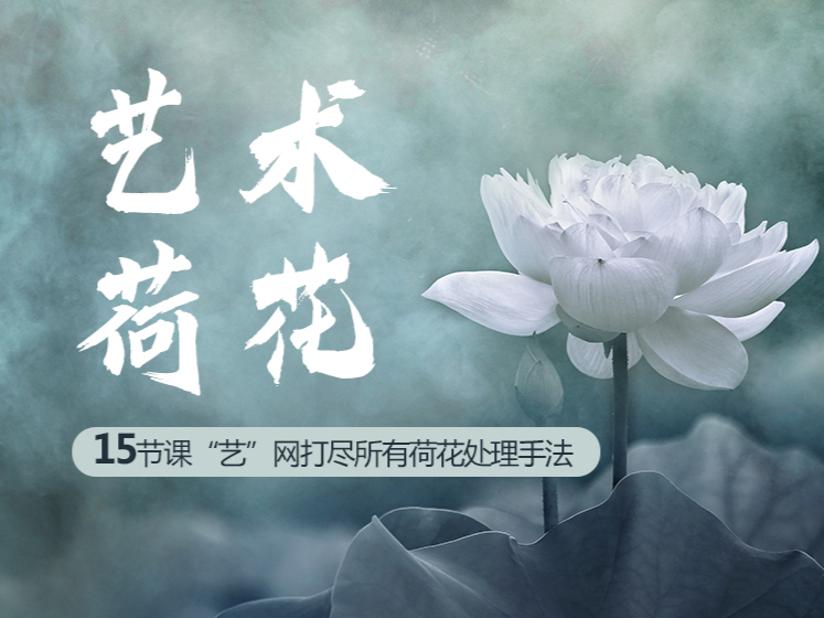 艺术荷花后期系列课