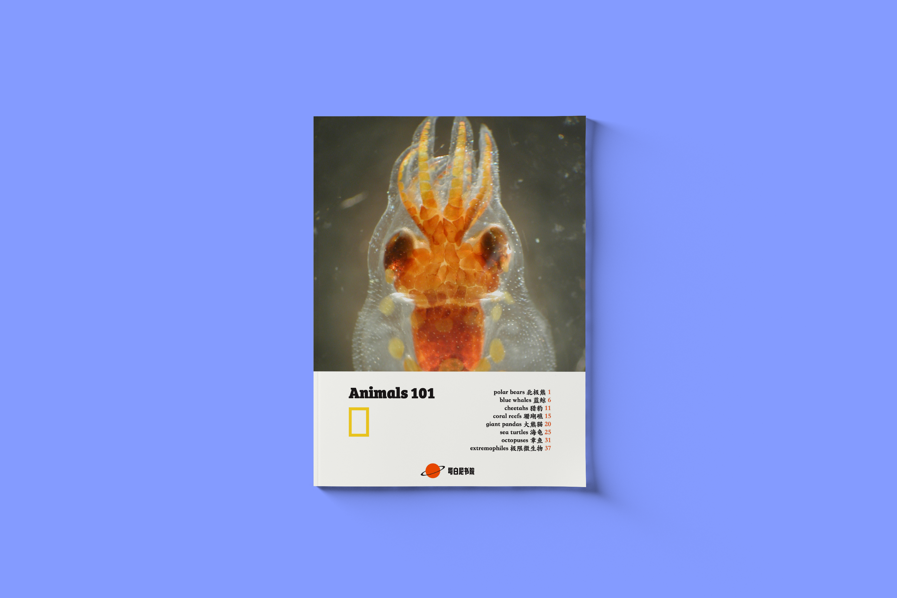 神奇动物1-8｜Animals