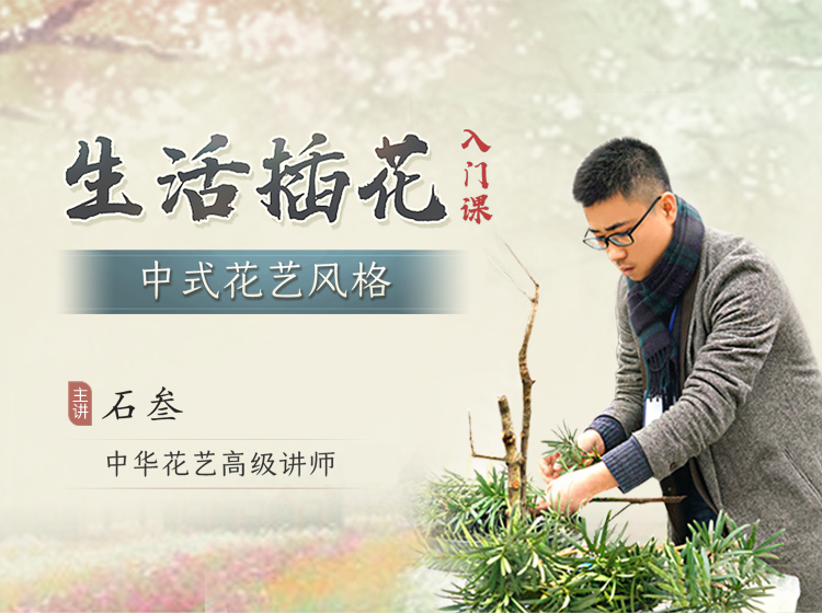 20节课带你学会生活插花-插花入门