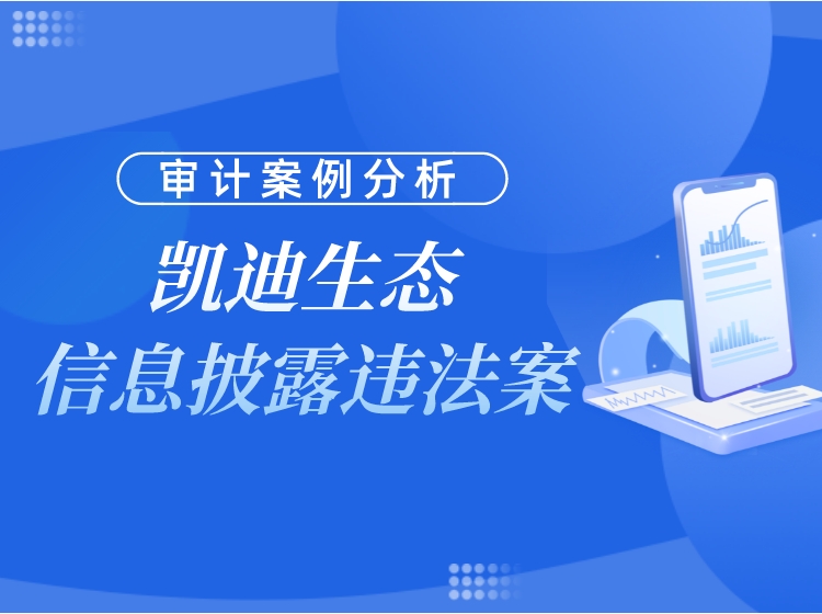 审计案例分析—凯迪生态信息披露违法案