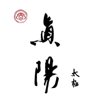 真阳太极 站桩系列课程【陈思 老师】