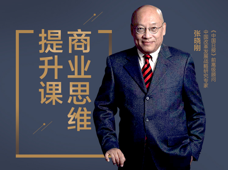 财经专家张晓刚：商业思维提升课