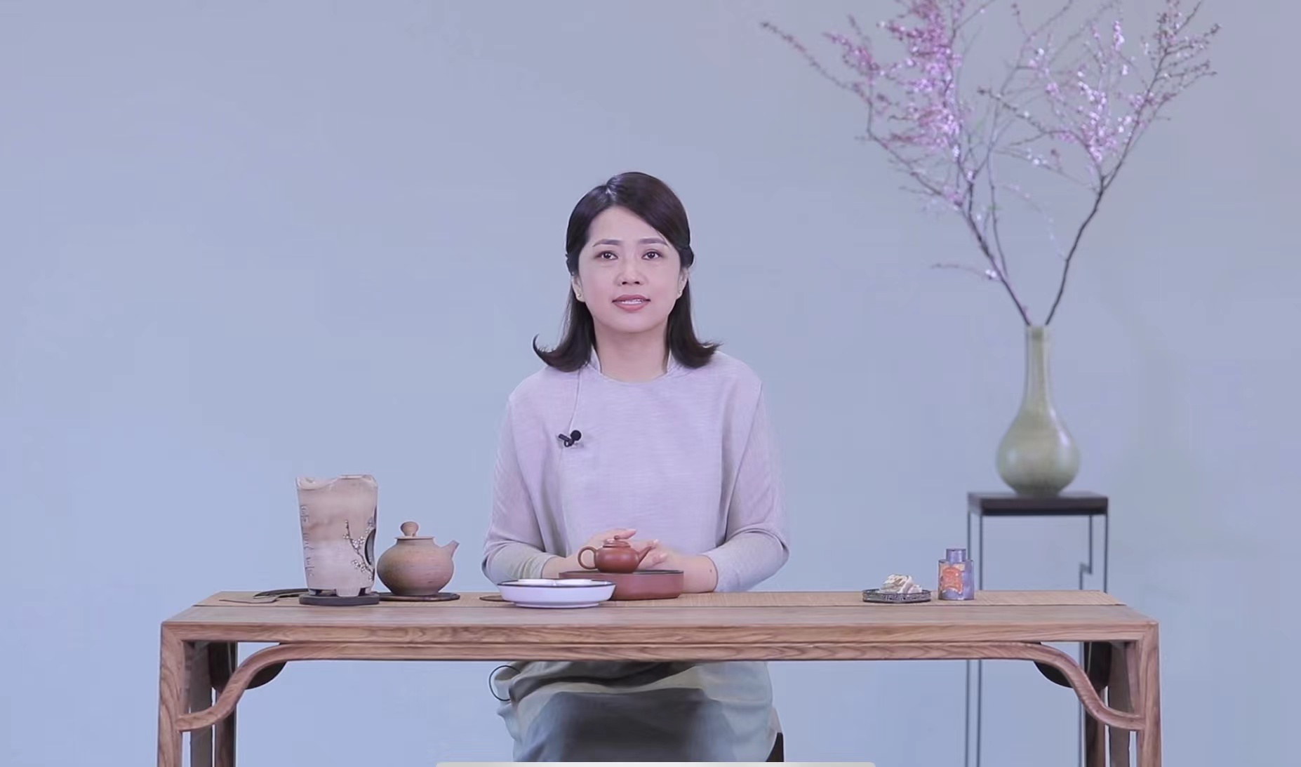 茶家【现代潮州工夫泡】7天训练营