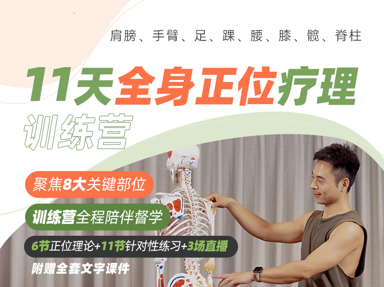 11天全身正位疗理系列课