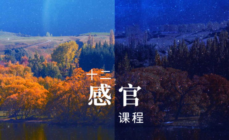 十二感官课