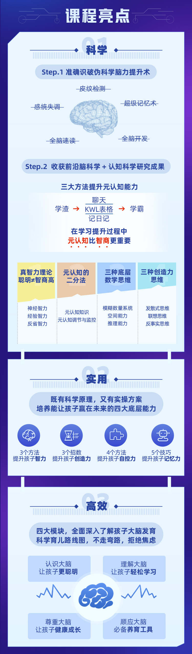 脑科学与儿童发育：Dr.魏教你聪明育儿