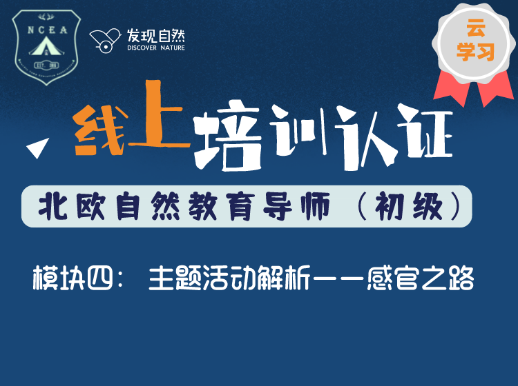 模块四 主题活动解析——感官之路