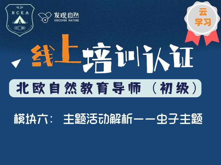 模块六 主题活动解析——虫子主题