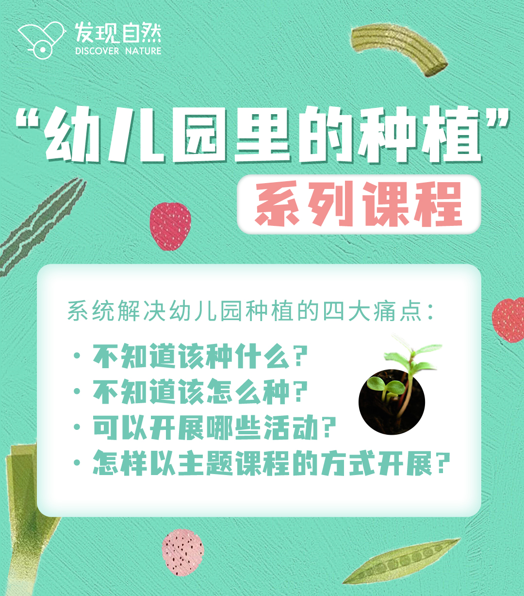 “幼儿园里的种植”系列课程+电子资源包