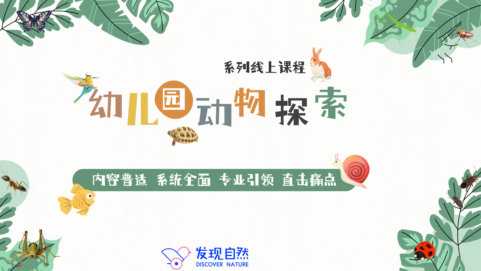“幼儿园里的动物探索”系列课程