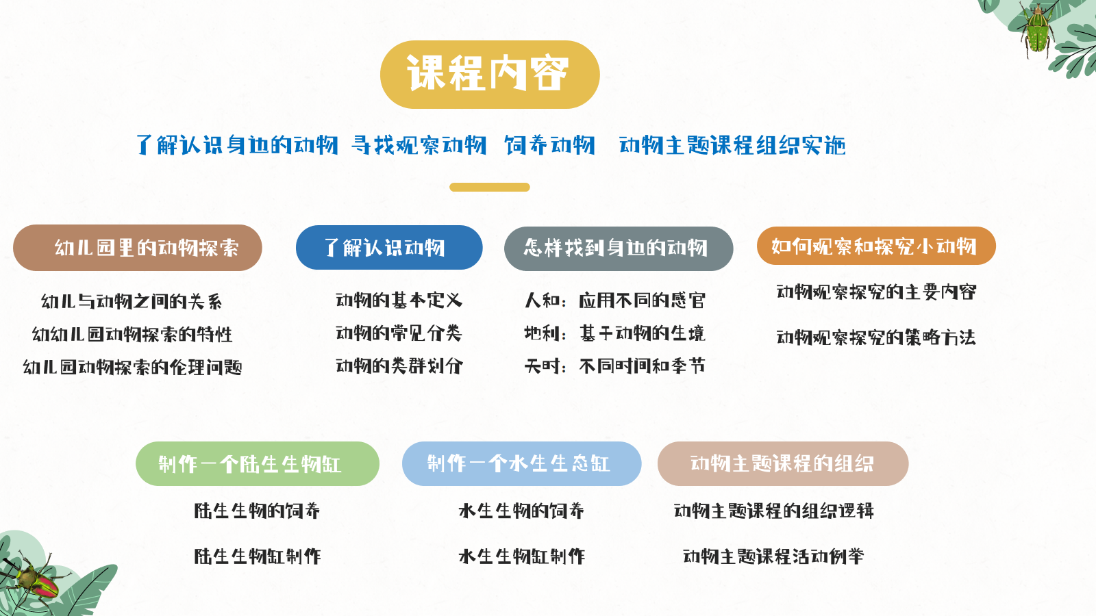 “幼儿园里的动物探索”系列课程